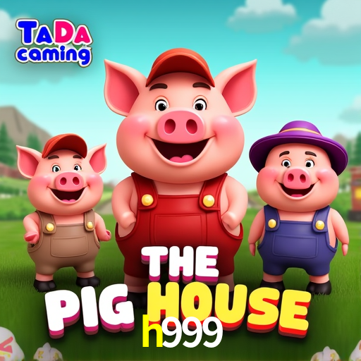 Descubra a Essência do h999: Nossa História e Compromissos